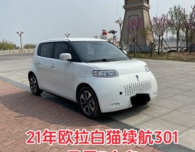 欧拉白猫2023新款电动汽车多少钱／欧拉白猫定价