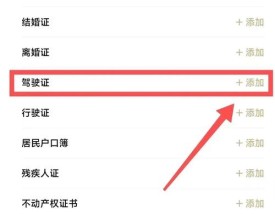 查询我的驾驶证／查询我的驾驶证证件信息