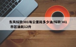 东风标致301每公里耗多少油/标致301 市区油耗12升
