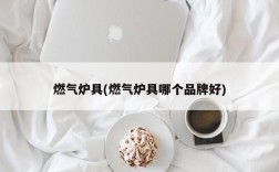 燃气炉具(燃气炉具哪个品牌好)