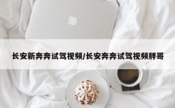 长安新奔奔试驾视频/长安奔奔试驾视频胖哥