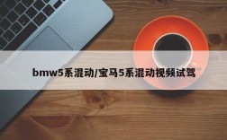 bmw5系混动/宝马5系混动视频试驾