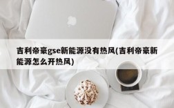 吉利帝豪gse新能源没有热风(吉利帝豪新能源怎么开热风)