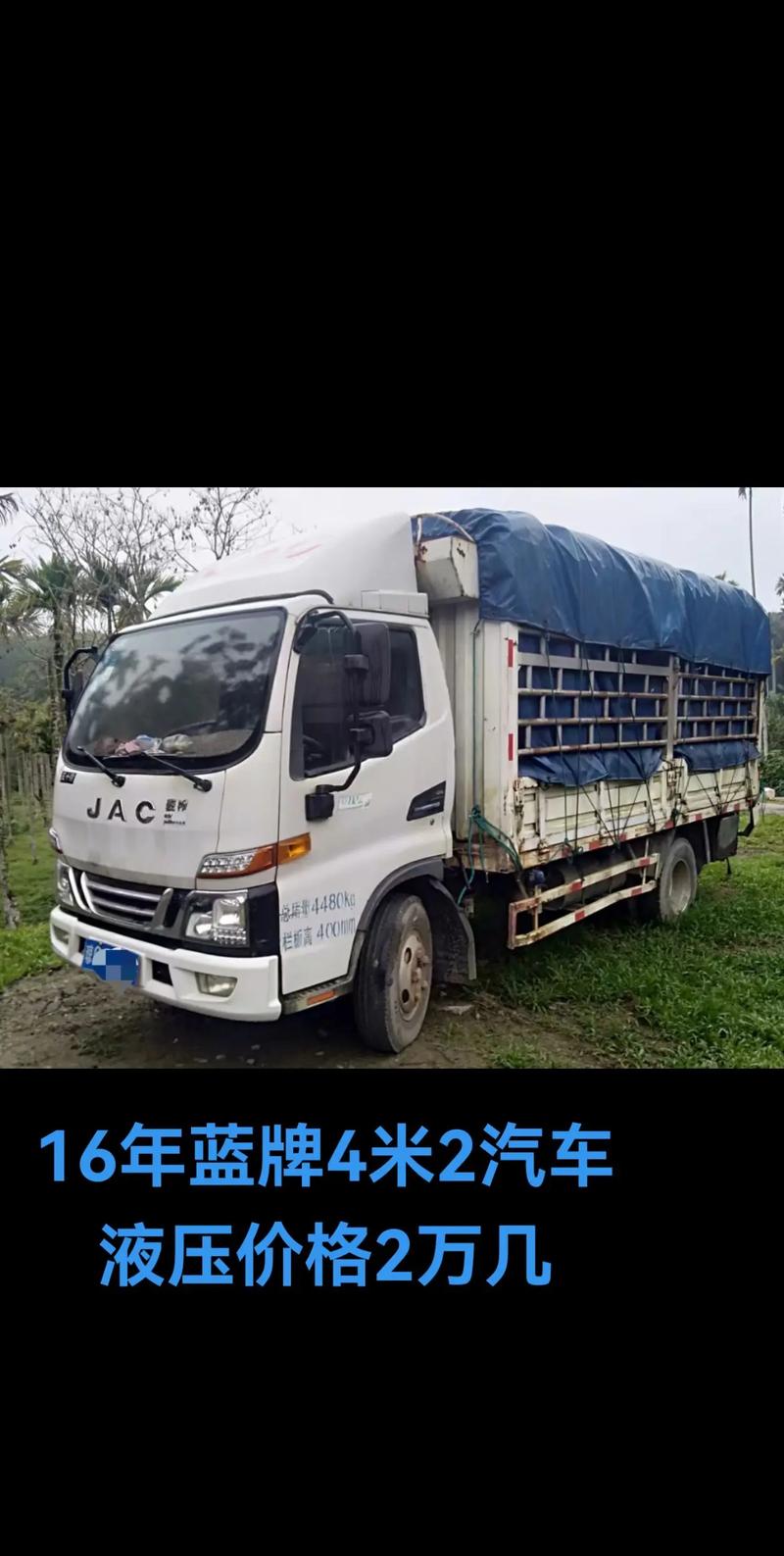 蓝牌轻卡报价大全(蓝牌轻卡货车报价及图片)